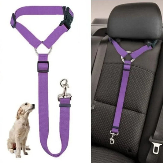 Pet Seat Belt